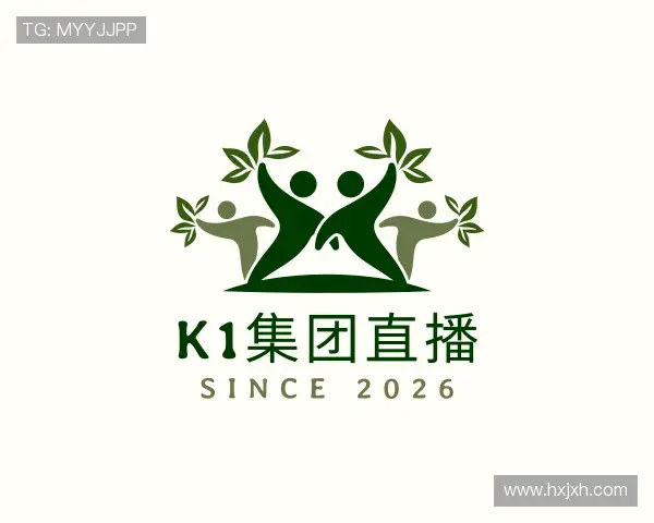 关于k1集团服务网